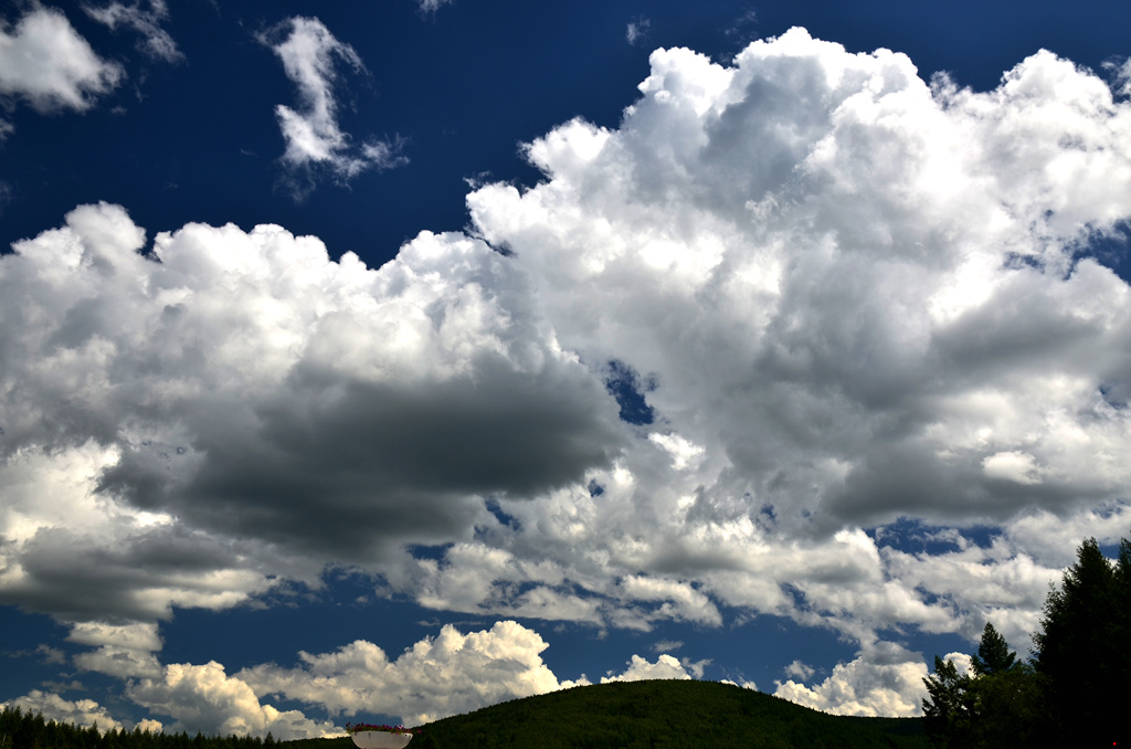 dsc_6909.jpg