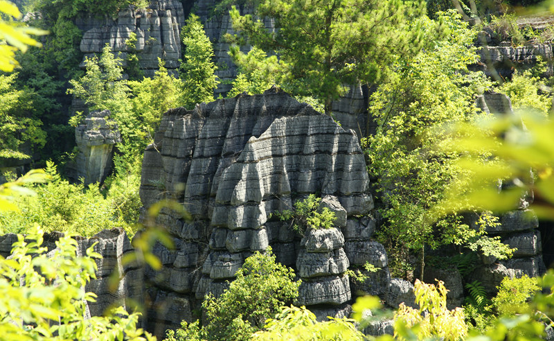 _mg_8795_.jpg