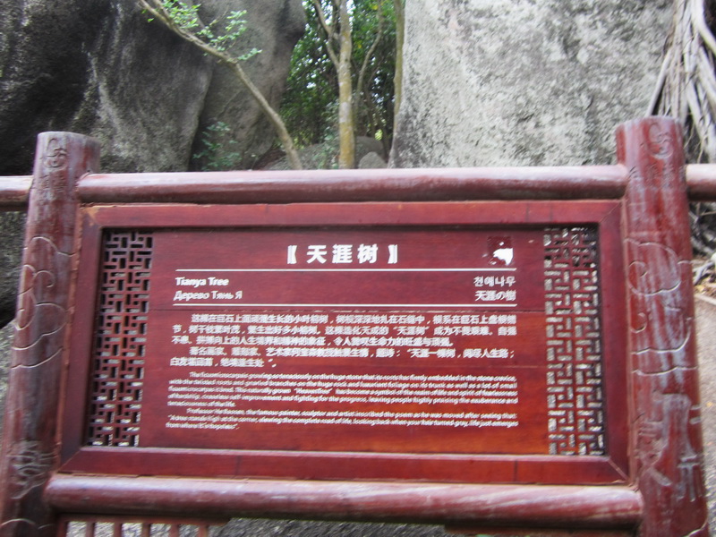 img_0076.jpg