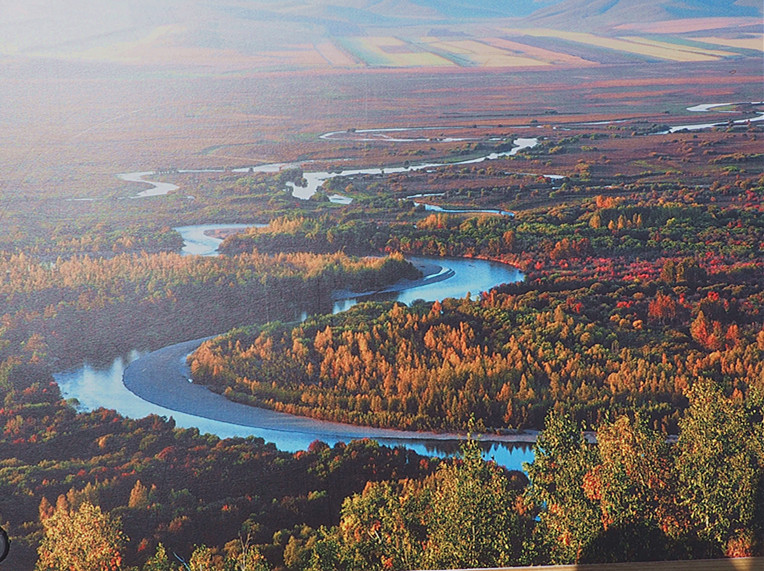 p7151825_.jpg