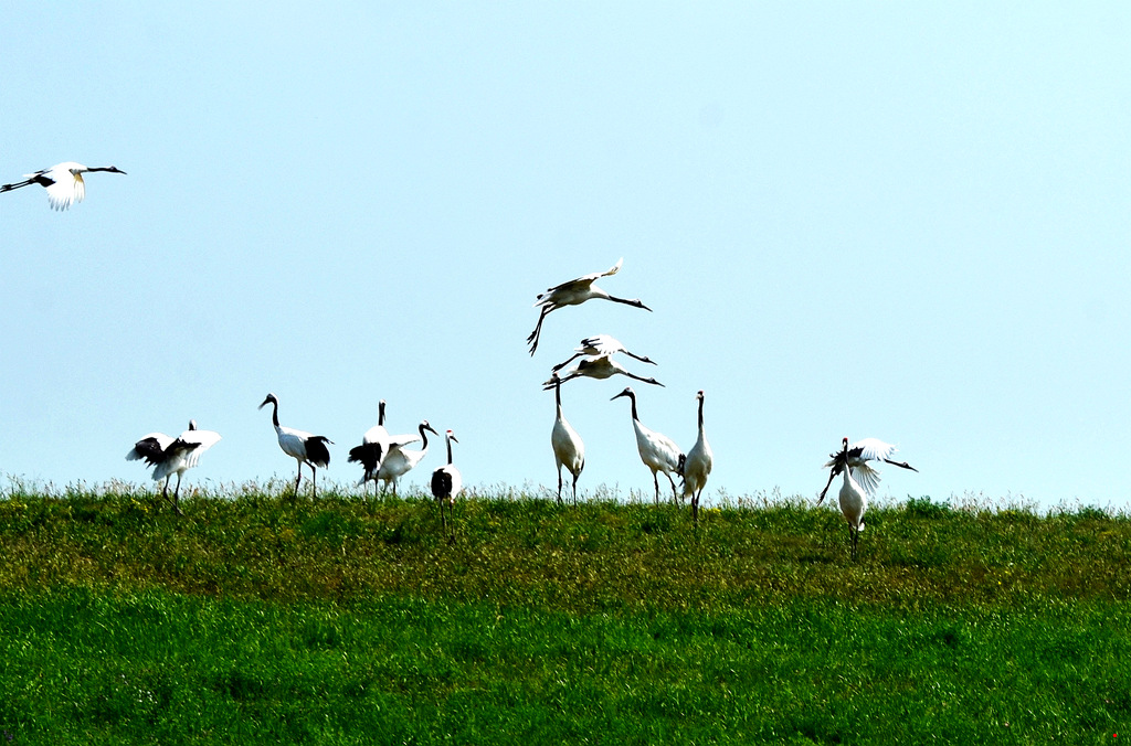 dsc_8586.jpg