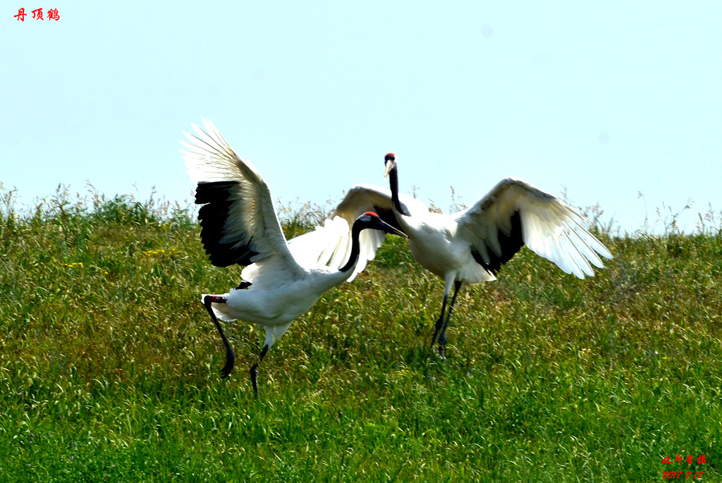 dsc_8594.jpg