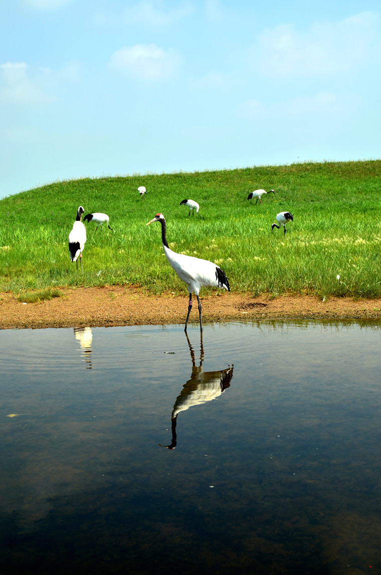 dsc_8714.jpg