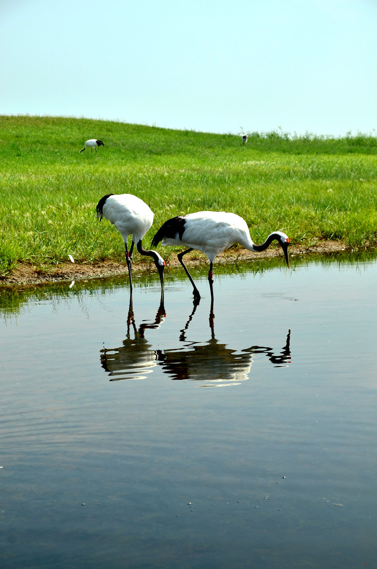 dsc_8726.jpg