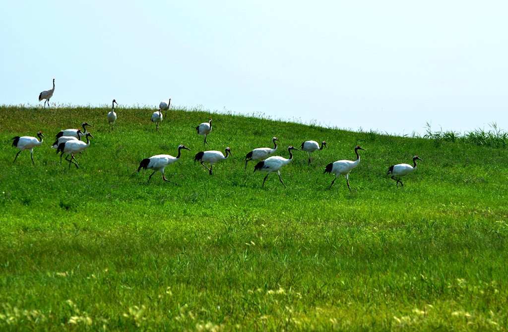 dsc_8588.jpg