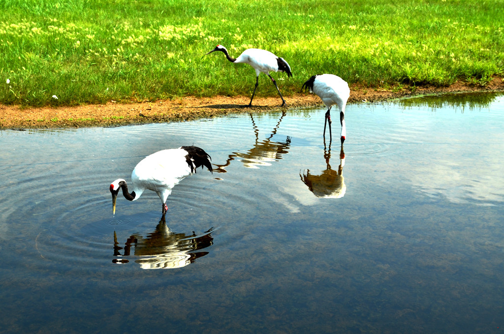 dsc_8665.jpg