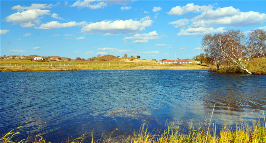 dsc_1413_.jpg