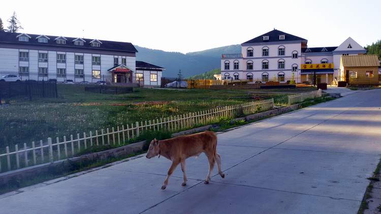˹040.jpg