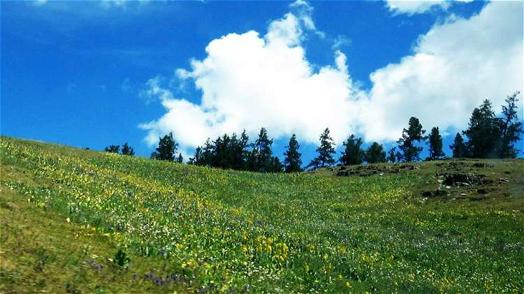˹005.jpg