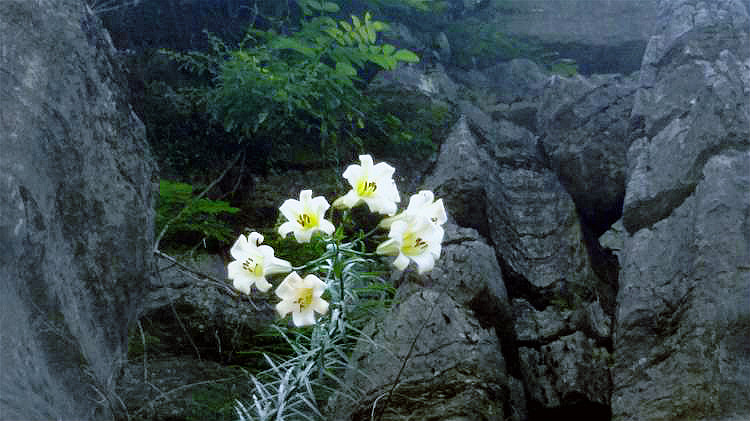 ʯ004.jpg