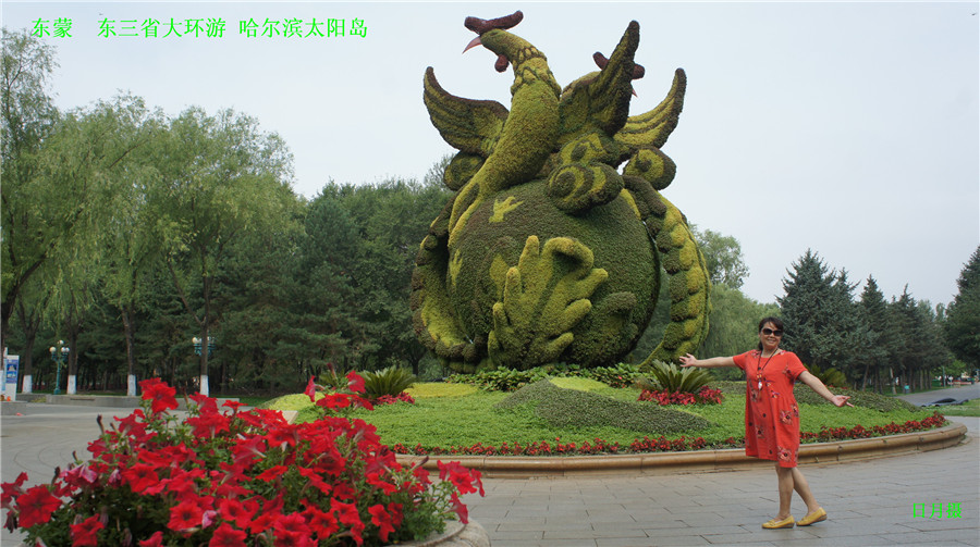 dsc01827_.jpg
