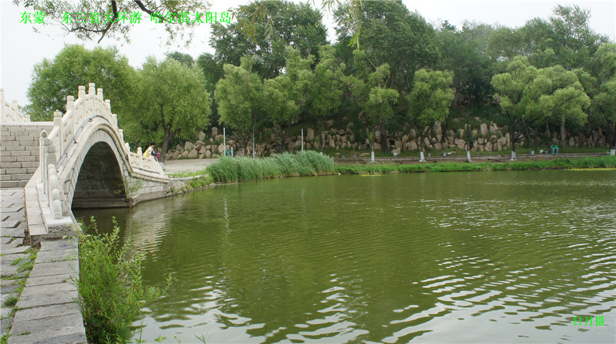 dsc01917_.jpg