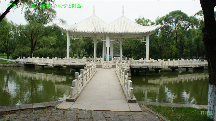 dsc01947_.jpg