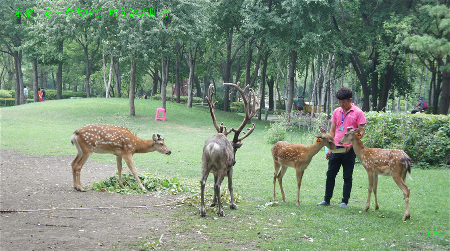 dsc01953_.jpg