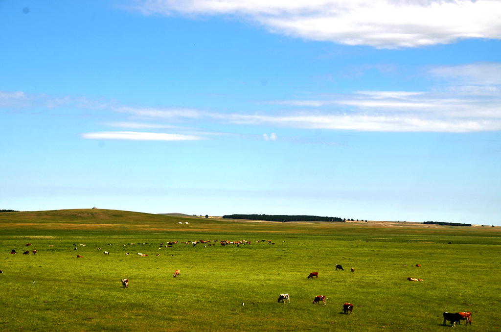dsc_7172.jpg