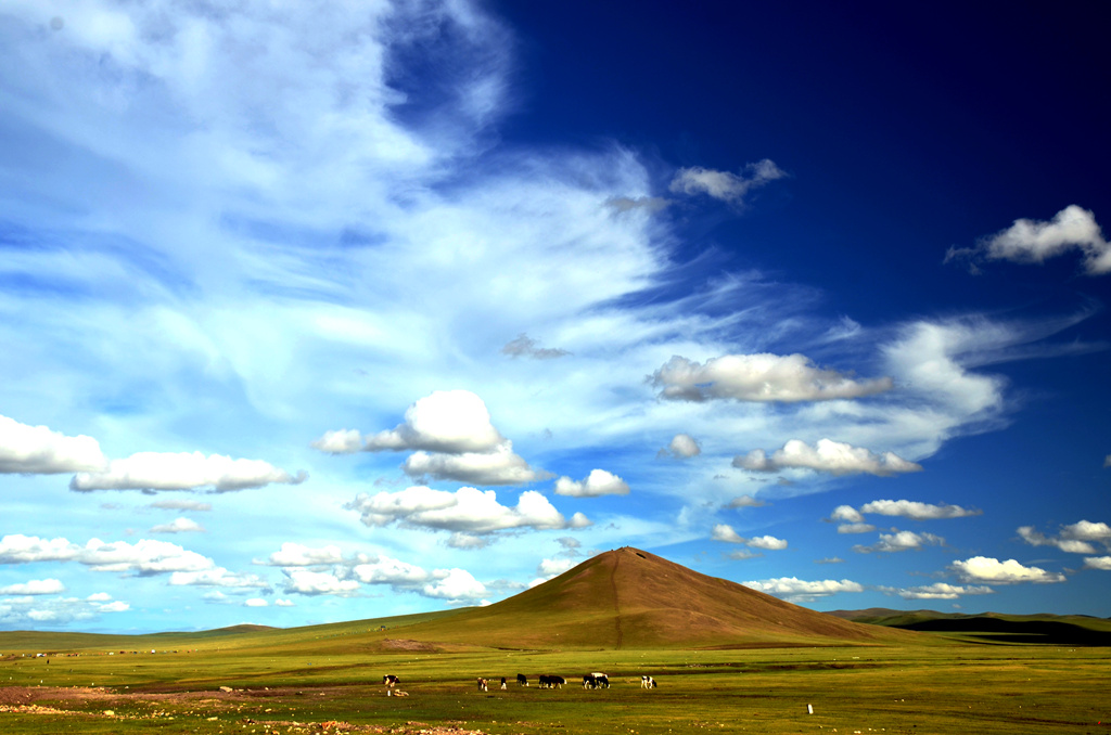 dsc_8092.jpg