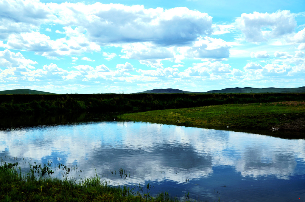 dsc_8325.jpg