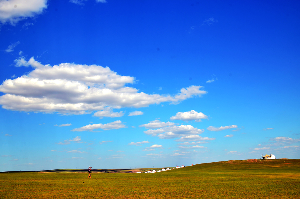 dsc_7331.jpg