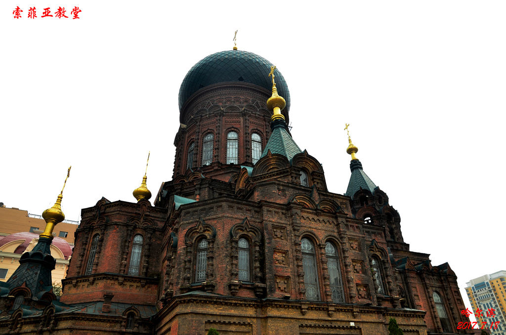 dsc_8936.jpg