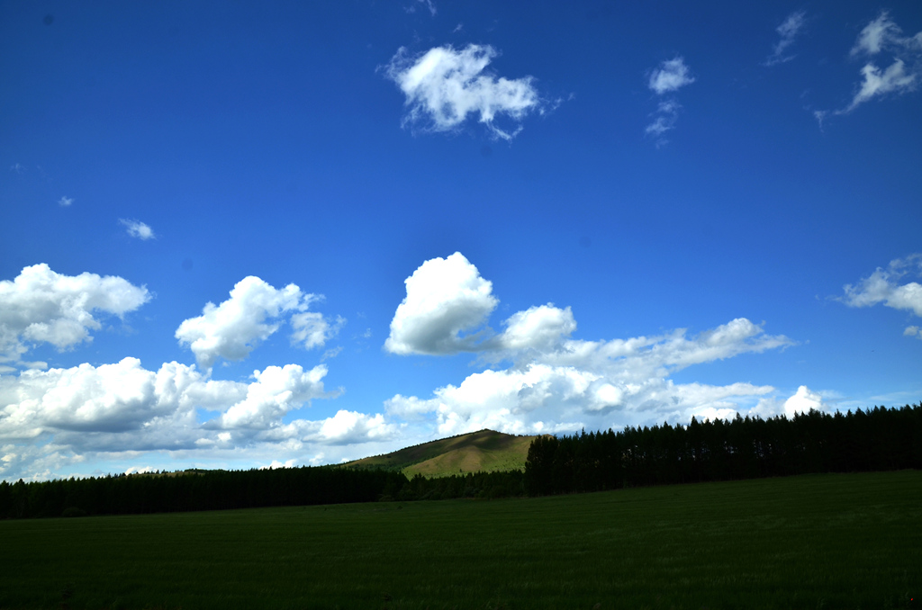 dsc_6947.jpg