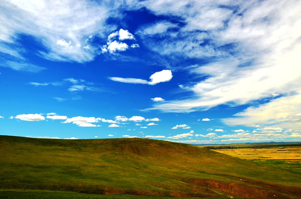dsc_7834.jpg