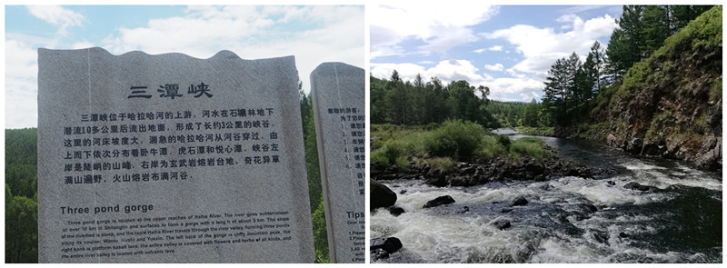 p7111564_副本_副本_副本.jpg