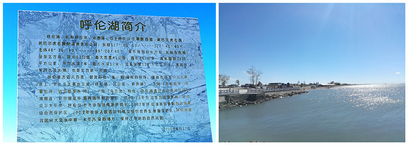p7141759_副本_副本.jpg