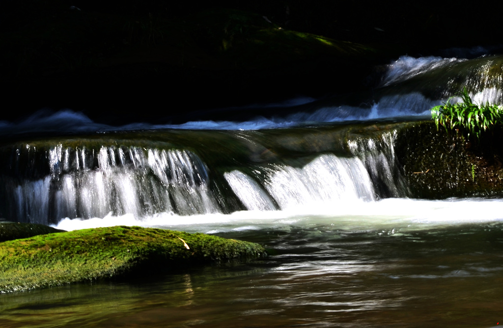 dsc_0322.jpg