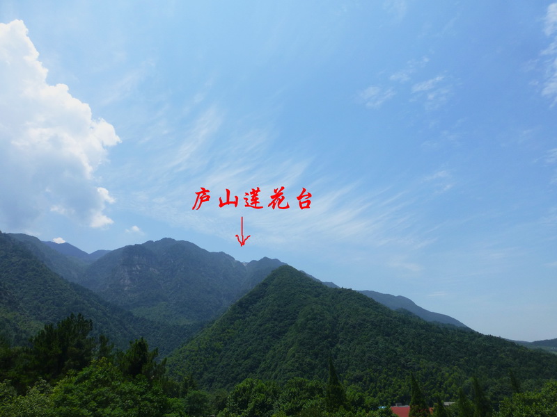 p1090017.jpg