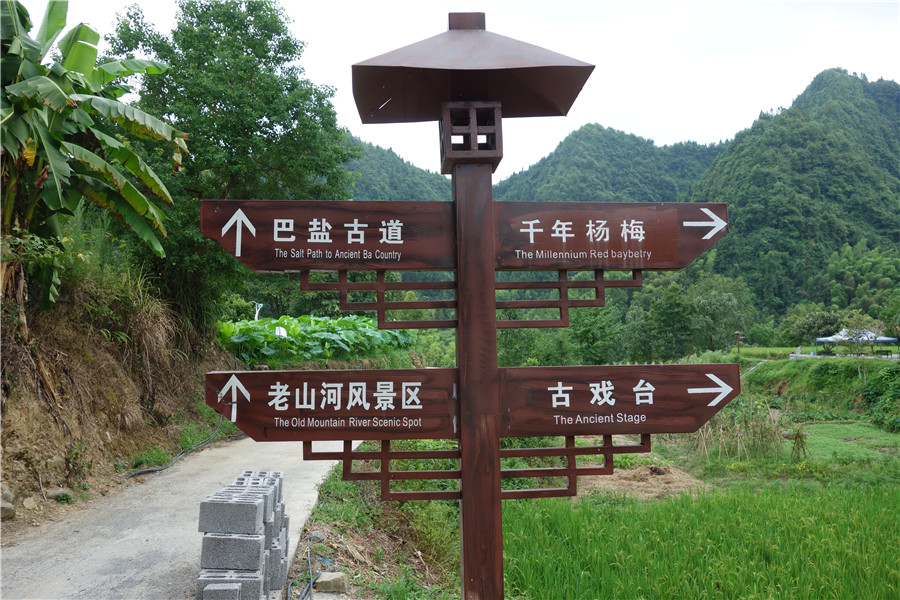 dsc01735.jpg