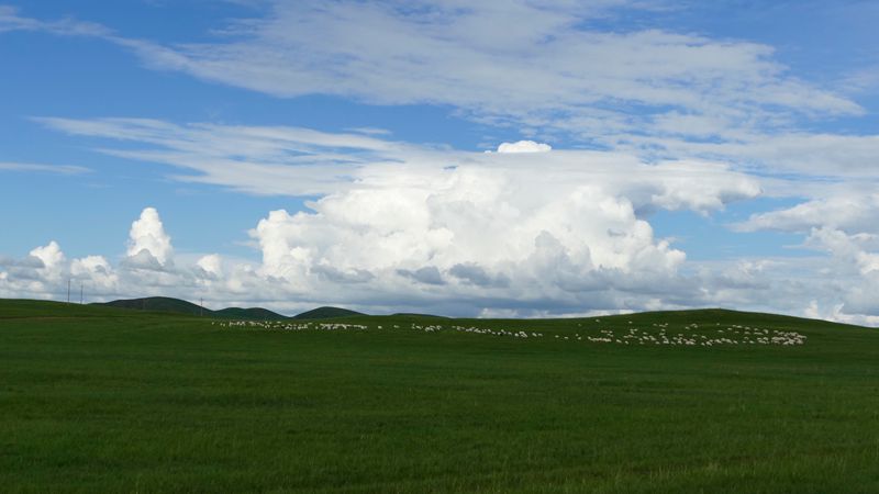 _1020124_.jpg