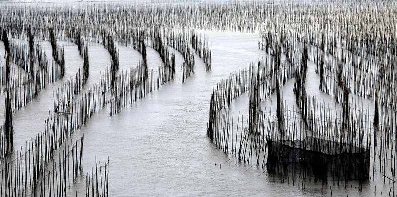 _mg_9718__.jpg