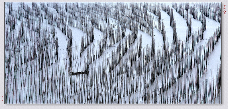 _mg_9734__.jpg