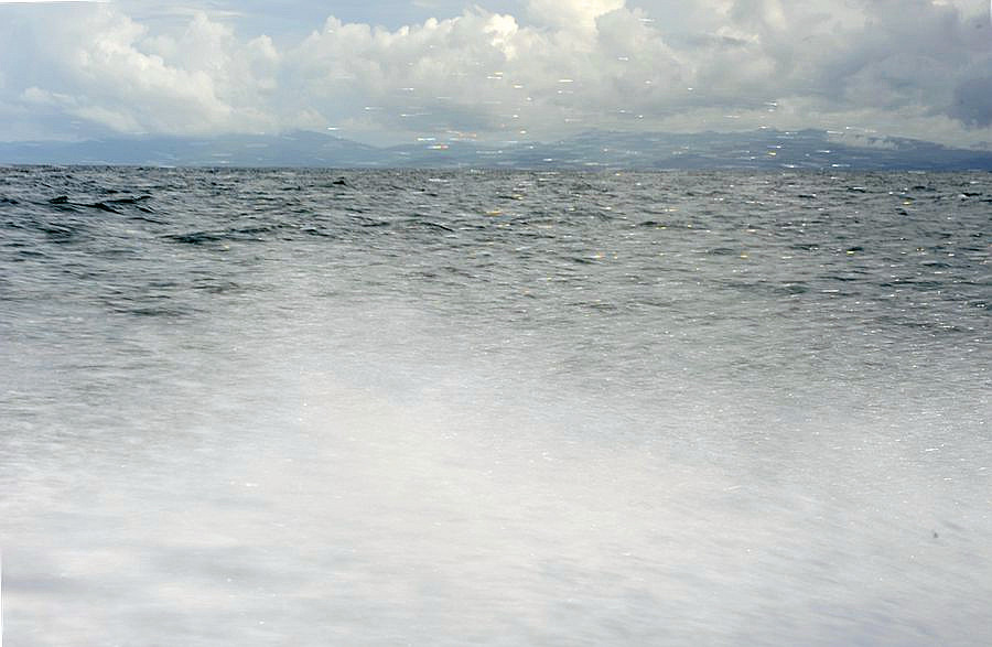 _DSC3187__.jpg