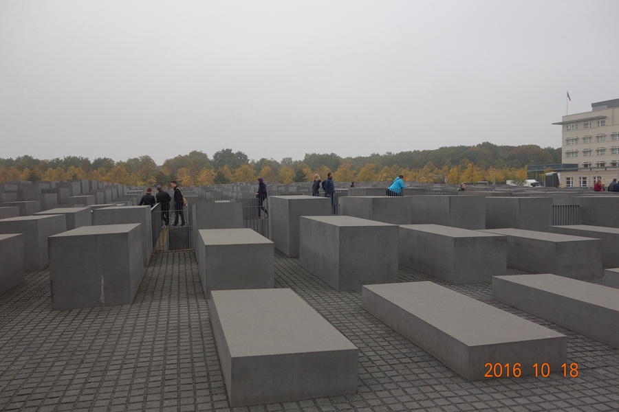 113.JPG