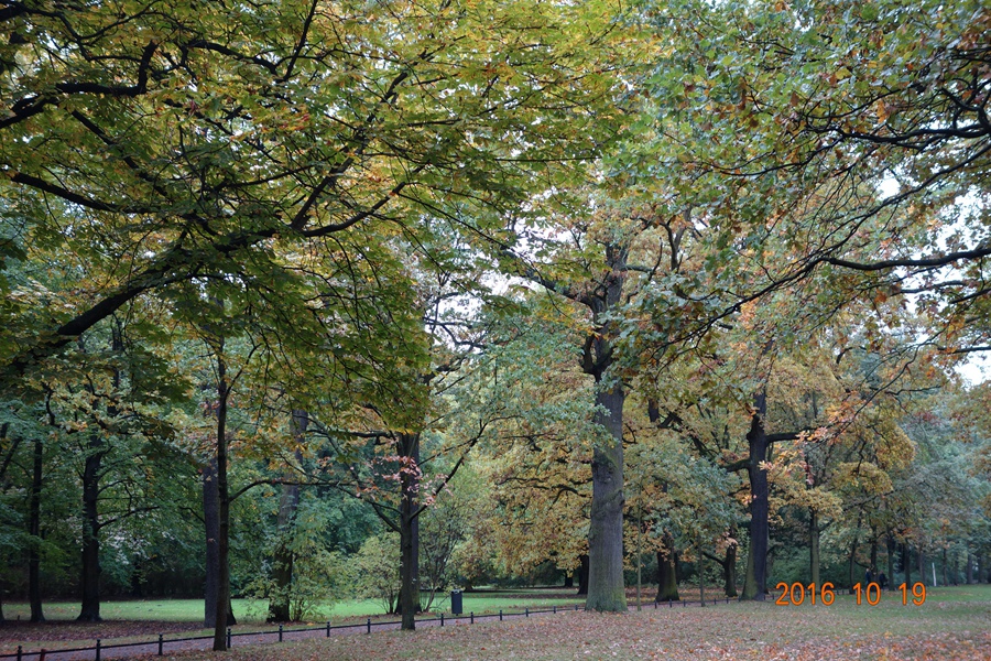DSC03134_副本.jpg