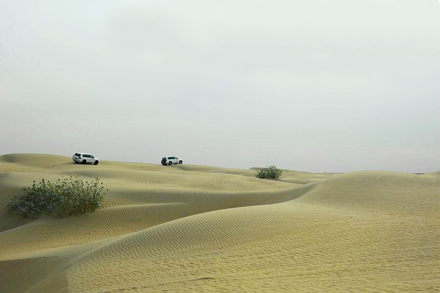 _DSC5077__.jpg