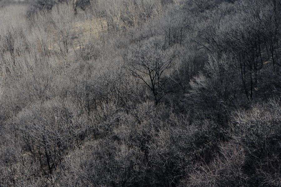 _DSC7327__.jpg