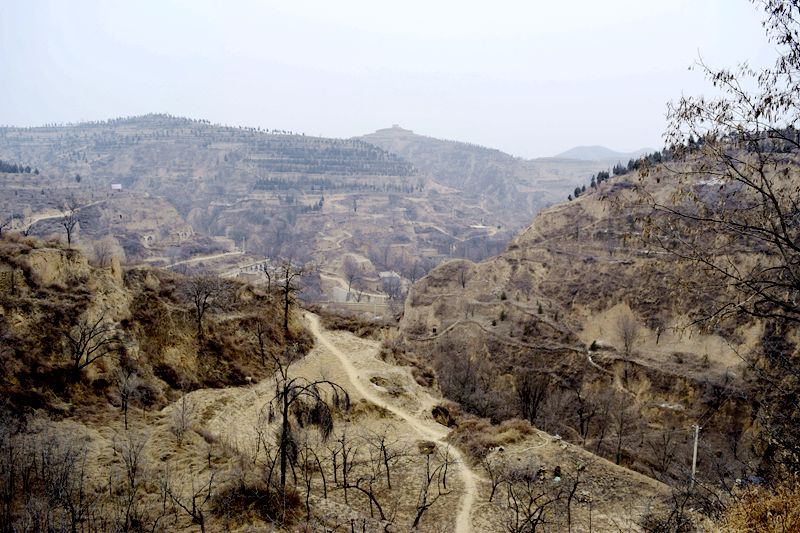 _DSC0804.JPG