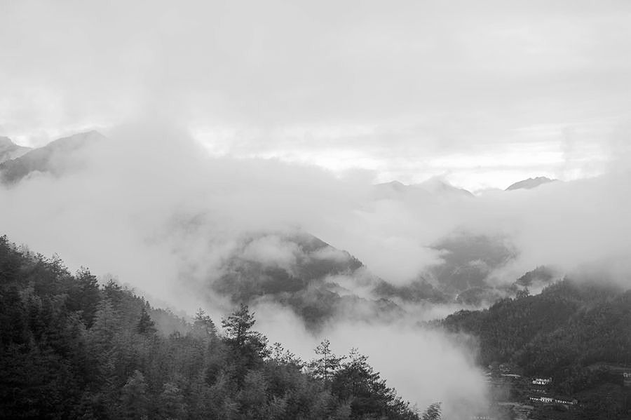 _DSC4313___.jpg