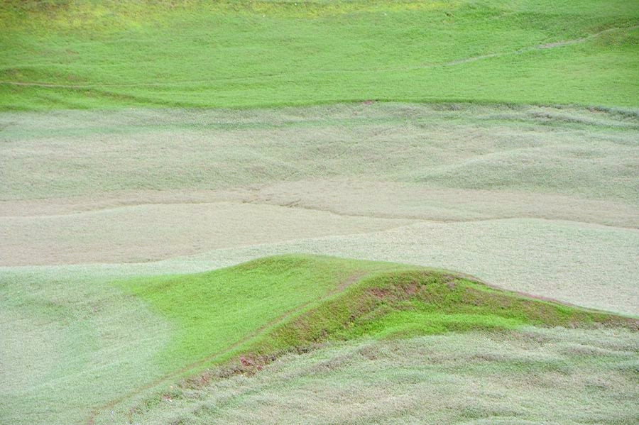 _DSC8765__.jpg