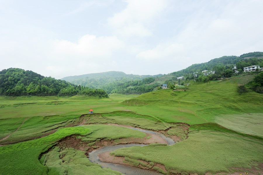 _DSC8790__.jpg