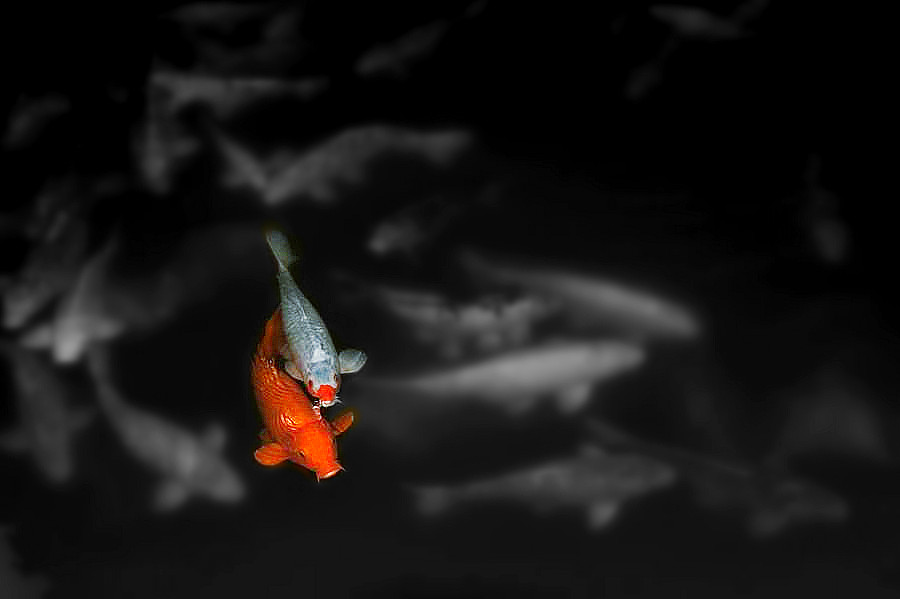 _DSC2125__.jpg