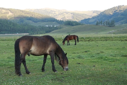 _MG_3540.jpg