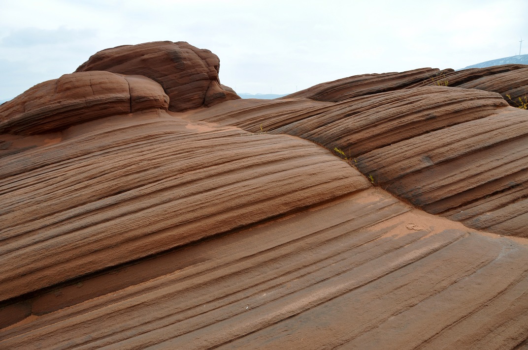 DSC_0270.JPG