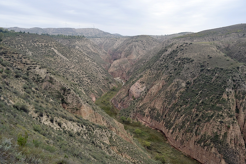 _DSC1985.JPG