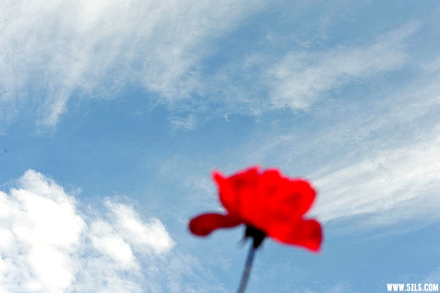 _DSC1547___.jpg