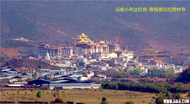 DSC09881_.jpg