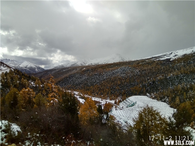 IMG_20171102_112102_HDR.jpg