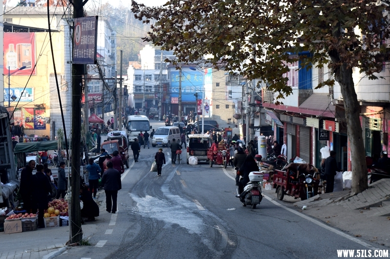 DSC_3225.JPG